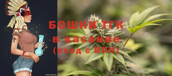 гашик Осташков