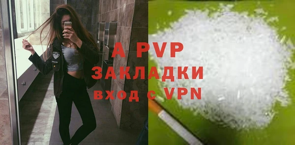 гашик Осташков