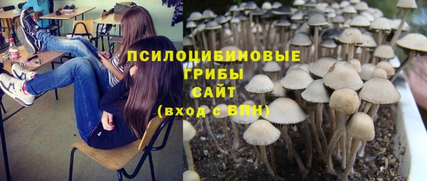 гашик Осташков