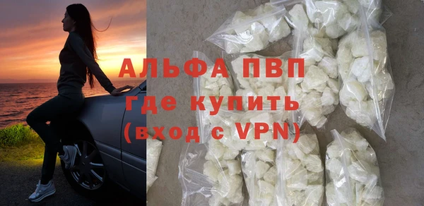 гашик Осташков